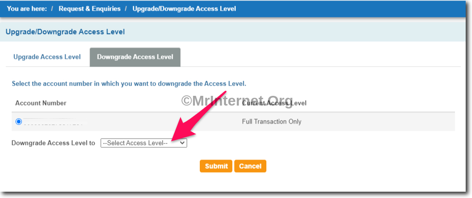 Select New Down Access Level in SBI Online