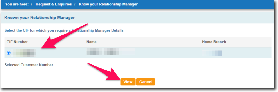 Select your CIF Number to View the Relationship Manager