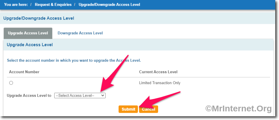 Select Upgraded Access Level and Click on Submit